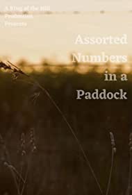 Assorted Numbers in a Paddock (2021)