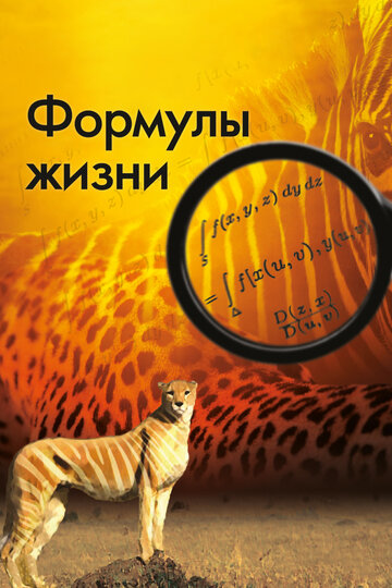 Формулы жизни (2010)