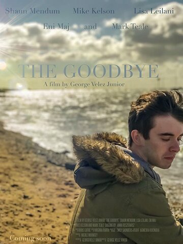 The Goodbye (2018)